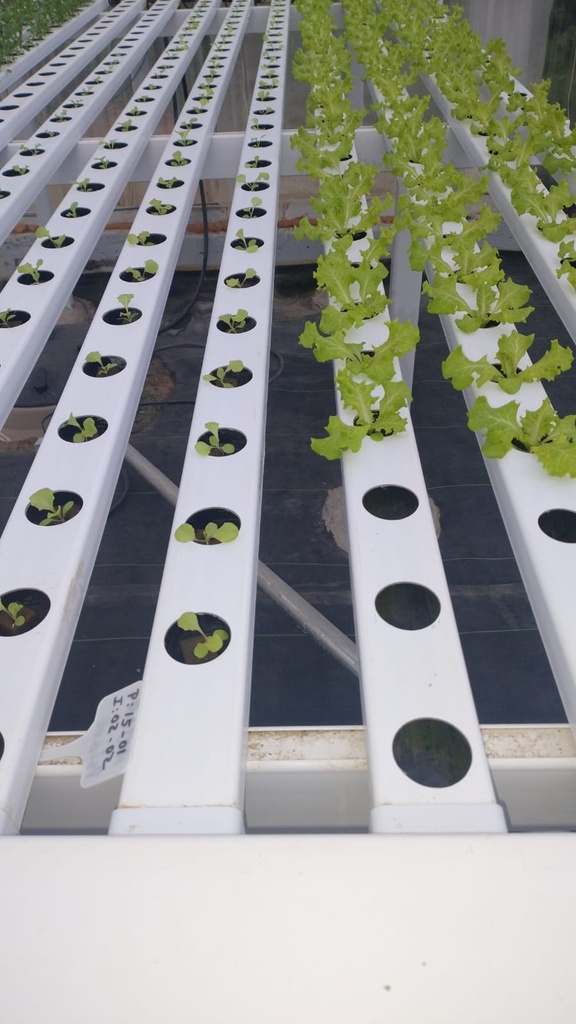 Sistema NFT de INICIO (XL) 1,87x3 mts