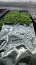 Enraizante Rootex 25grs 