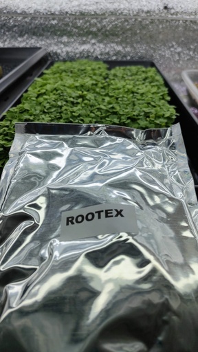 Enraizante Rootex 25grs 