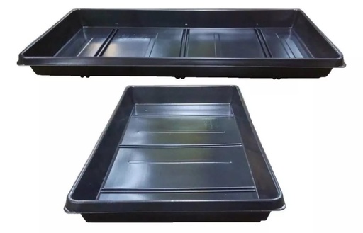 Bandejas porta Germinacion