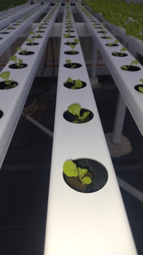 Sistema NFT de INICIO (S) 0,90 x 3 mts